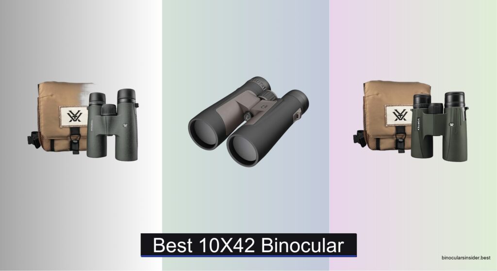 8 Best 10×42 Binoculars of 2026