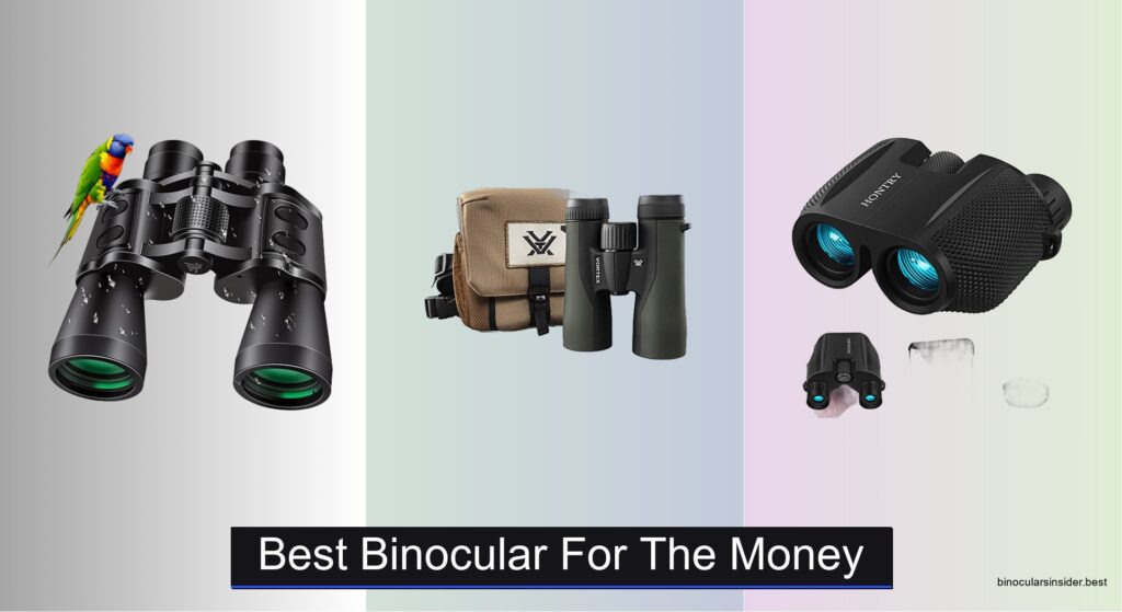 8 Best Binoculars for the Money 2026